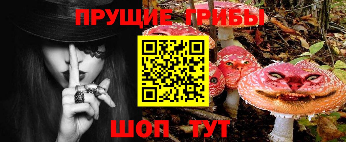 Псилоцибиновые грибы GOLDEN TEACHER  Вход с VPN  Алатырь 
