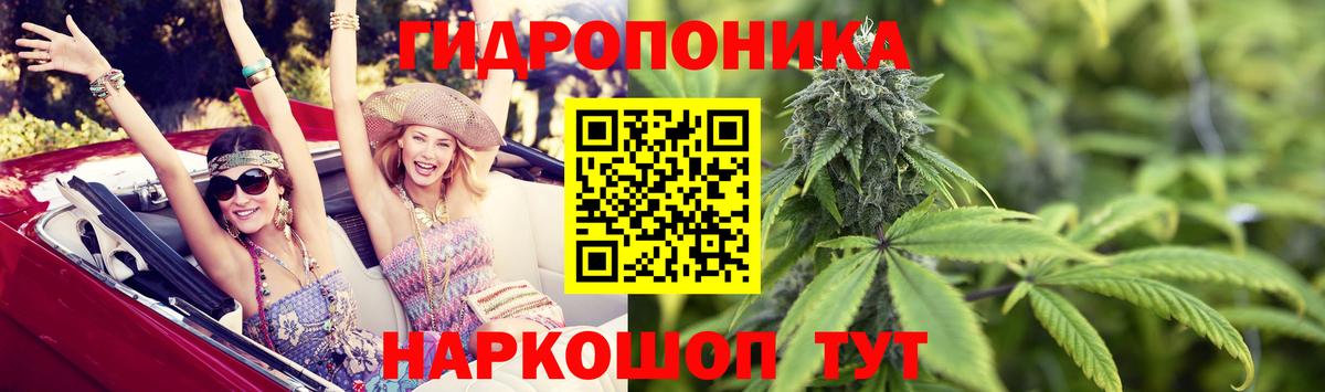 Каннабис VHQ  Шишки марихуана THC 21%  Вход с VPN  Бошки марихуана OG Kush  Алатырь  Марихуана MAZAR 